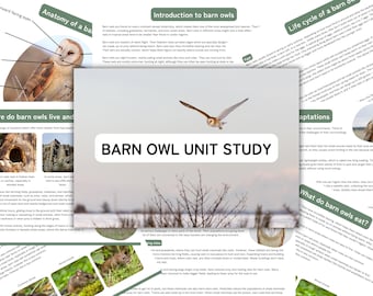 Puede incluir: Un estudio sobre el búho común, con una imagen de un búho común en vuelo. El estudio incluye secciones sobre anatomía, ciclo de vida, hábitat y dieta. El texto "BARN OWL UNIT STUDY" es visible.