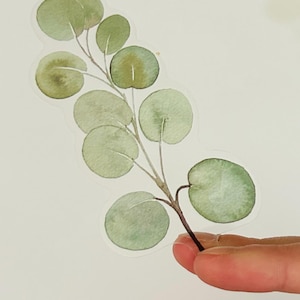 Stickers feuilles d'eucalyptus translucides - Stickers botaniques verdure pour albums de coupures, journaux, ordinateurs portables, bouteilles d'eau, travaux manuels