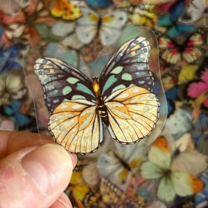 Adesivos de borboleta translúcidos - Adesivos de natureza variados - Bullet Journal - Scrapbook - À prova d'água