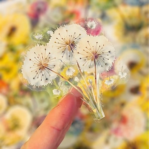 Translucent Holly’s Blowie Stickers: Nature Iridescent Embellishments for Scrapbooking and Arts and Crafts