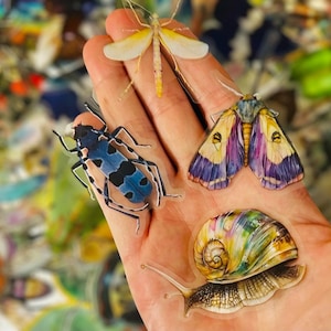 Può includere: Una collezione di adesivi di insetti colorati, tra cui uno scarabeo blu e nero, una falena con ali viola e gialle, una libellula gialla e una lumaca con un guscio arcobaleno. Gli adesivi sono in una mano.