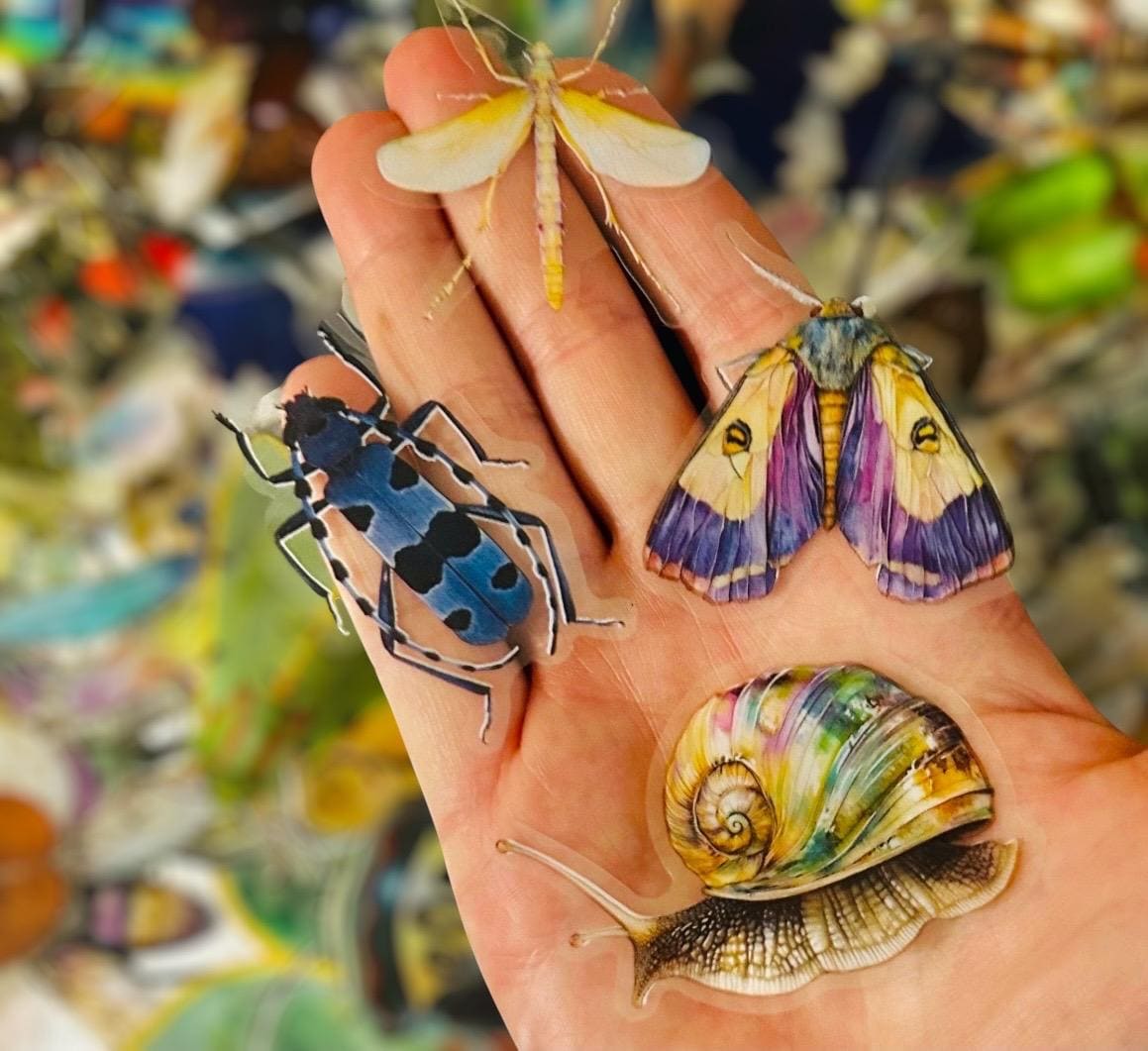 Translucent Bug Stickers - Assorted Nature & Insect Stickers - Bullet Journal - Scrapbook - Waterproof