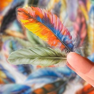Pegatinas de plumas translúcidas - Pegatinas de naturaleza surtidas - Bullet Journal - Álbum de recortes - Resistentes al agua