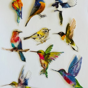 Stickers oiseaux translucides - Stickers nature assortis - Bullet Journal - Scrapbook - Imperméable