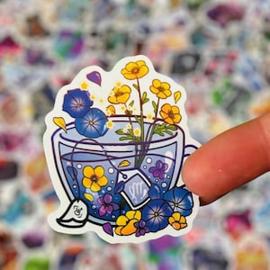 Stickers coupe Whimsicle - Assortiments de stickers imperméables pour enfants, ordinateurs portables, bagages, bouteilles d'eau, blocs-notes