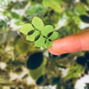 Translucent Green Leaf Stickers - Assorted Nature Stickers - Bullet Journal - Scrapbook - Waterproof