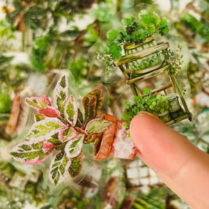 Stickers translucides pour plantes d'intérieur - Stickers plantes succulentes en pot pour journaux, albums de coupures, ordinateurs portables, bouteilles d'eau, téléphones - imperméables