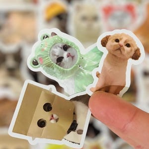 Sticker mème chat pour ordinateurs portables, bagages, skateboards, bouteilles d'eau, cahiers - Stickers vinyles imperméables