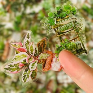 Translucent House Plant Stickers - Succulent, Potted Plant Stickers for Journals, Scrapbooks, Laptops, Water Bottles, Phones - Waterproof
