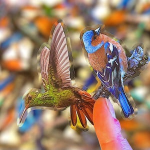 May include: Two bird stickers. One is a hummingbird with green, brown, and red coloring. The other is a Chaffinch with blue, brown, and white coloring. Both stickers are transparent and have a glossy finish.
