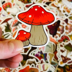 Mushroom Stickers - Cottagecore Nature Stickers for Journals, Scrapbooks, Water Bottles, Laptops - Waterproof Die Cut Vinyl Stickers