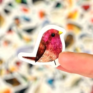 Mini Vogel Aufkleber - Verschiedene Natur und Tier Aufkleber - Bullet Journal - Scrapbook - Wasserfest