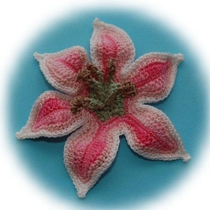 Stargazer Doily PDF Crochet Pattern image 4