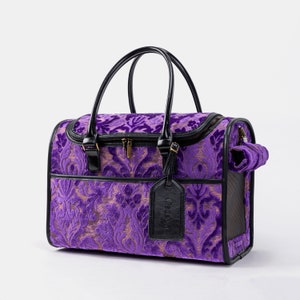 Discreet cat carrier hot sale