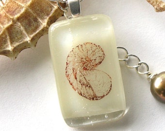 Nautilus . Delicate Fused Glass  Pendant . Vintage Shell Print . Gold Pearl Charm . 16-18" Necklace