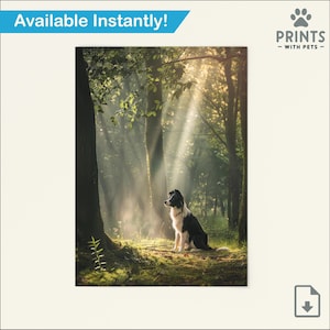 Border Collie Print, Border Collie Wall Art, Border Collie Gifts for Border Collie Owner,  Digital Download
