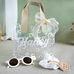 Transparent bags online clearance