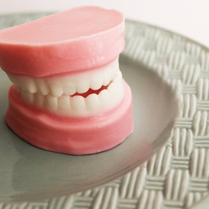 Denture Soap Peppermint Set False Teeth, Gag Gift, Tooth, Soap, Prank Soap, Mint Scented, Soap Dentures, Funny Soap, Over The Hill, Silly image 5