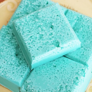 Salt Scrub Soap Bar Sea Salt and Driftwood - Dead Sea Scrub, Exfoliating Soap, Beach Soap, Guest Bathroom Soap, Soap Favors, Soap Scrub