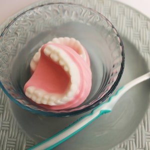 Denture Soap Peppermint Set False Teeth, Gag Gift, Tooth, Soap, Prank Soap, Mint Scented, Soap Dentures, Funny Soap, Over The Hill, Silly image 3