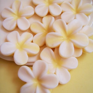 Plumeria Soap Set Flower Soap, Frangipani Soap, Wedding Favors, Bridal Shower, Soap Favors, Hawaiian Flower Soap, Hawaii Soap, Beach Soap image 4