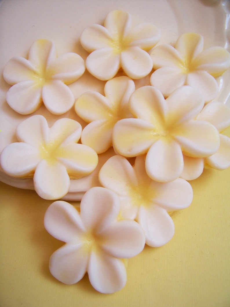 Plumeria Soap Set Flower Soap, Frangipani Soap, Wedding Favors, Bridal Shower, Soap Favors, Hawaiian Flower Soap, Hawaii Soap, Beach Soap image 4