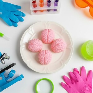 Brain Soap Set: Halloween Soap, Gag Gift