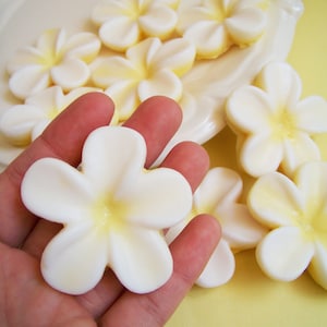 Plumeria Soap Set Flower Soap, Frangipani Soap, Wedding Favors, Bridal Shower, Soap Favors, Hawaiian Flower Soap, Hawaii Soap, Beach Soap image 5