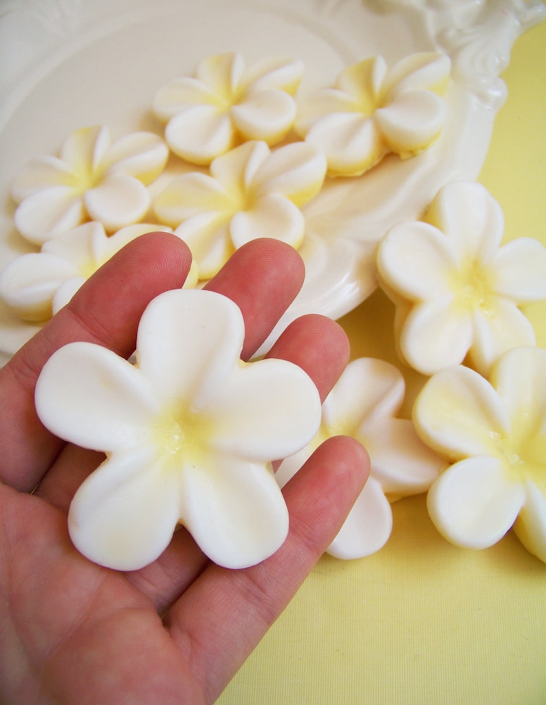 Plumeria Soap Set Flower Soap, Frangipani Soap, Wedding Favors, Bridal Shower, Soap Favors, Hawaiian Flower Soap, Hawaii Soap, Beach Soap image 5