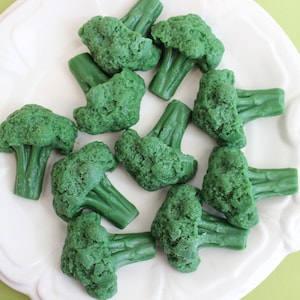Broccoli Soap - Food Soap, Food Shaped Soap, Novelty Soap, Fake Food Soap, Gag Gift, Soap Favors, Prank Soap, Stocking Stuffer, Veggie Soap