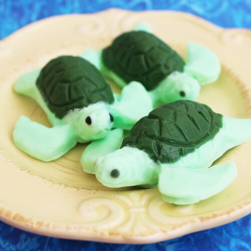 reptile soap