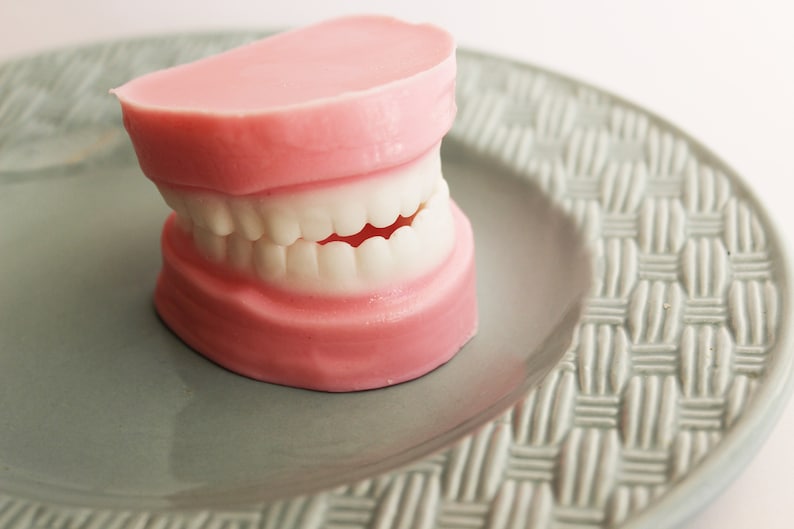 Denture Soap Peppermint Set False Teeth, Gag Gift, Tooth, Soap, Prank Soap, Mint Scented, Soap Dentures, Funny Soap, Over The Hill, Silly image 5