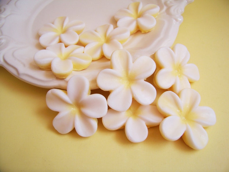 Plumeria Soap Set Flower Soap, Frangipani Soap, Wedding Favors, Bridal Shower, Soap Favors, Hawaiian Flower Soap, Hawaii Soap, Beach Soap image 3