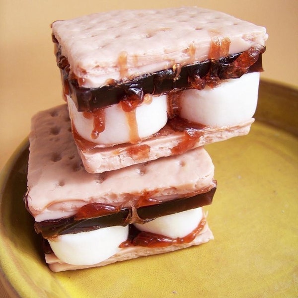 Delicious S'more Soap - Smore Soap, Food Soap, Cookie Soap, Chocolate Soap, Kid Soap, Baby Shower Favors, Bridesmaid Gift, Hostess Gift