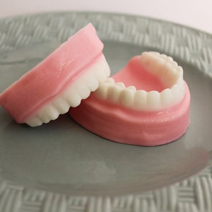 Denture Soap Peppermint Set False Teeth, Gag Gift, Tooth, Soap, Prank Soap, Mint Scented, Soap Dentures, Funny Soap, Over The Hill, Silly image 2