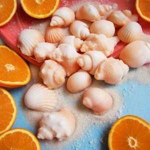 Sea Shell Soap Set: Orange Scented Vegan Soaps, Beach Favors