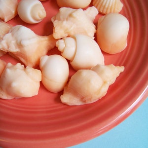 Sea Shell Soap Set - Beach Soap, Soap Favors, Wedding Favors, Guest Bathroom, Soap Seashells, Orange Soap, Sea Shells, Nautical Soap, Beachy