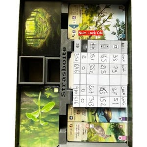 Inserto compatible – bosque mixto – extensiones – accesorios para juegos de mesa – impresión 3D