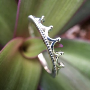 Peut inclure: Une bague couronne argent&eacute;e au design d&eacute;licat. La bague pr&eacute;sente une s&eacute;rie de petits points arrondis sur le dessus et un motif de perles le long de l'anneau. La bague est pos&eacute;e sur un fond flou de feuilles vertes et violettes.