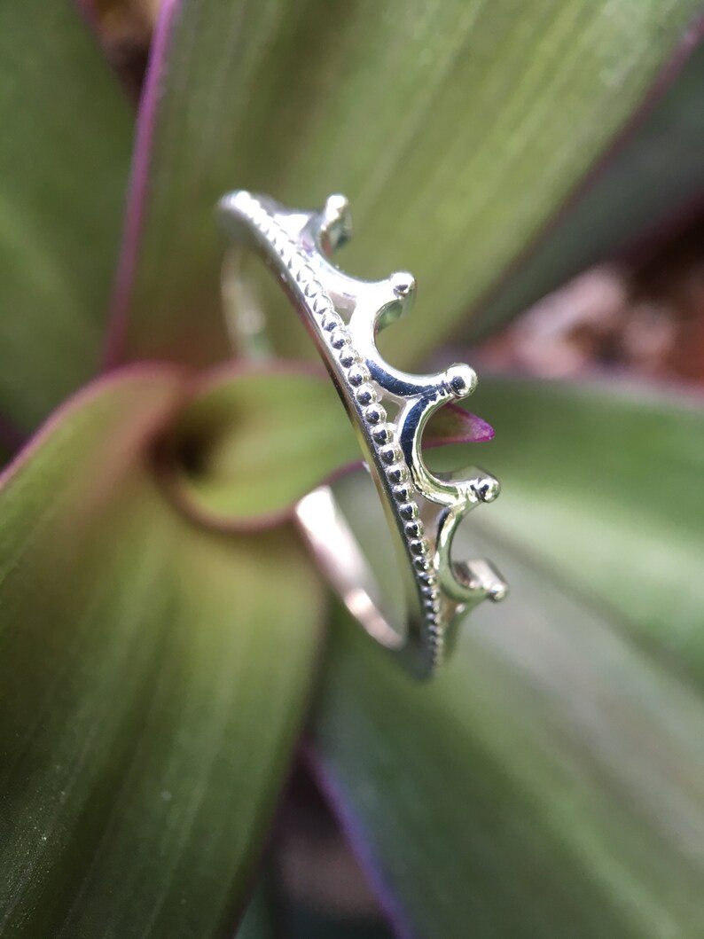 Peut inclure: Une bague couronne argent&eacute;e au design d&eacute;licat. La bague pr&eacute;sente une s&eacute;rie de petits points arrondis sur le dessus et un motif de perles le long de l'anneau. La bague est pos&eacute;e sur un fond flou de feuilles vertes et violettes.