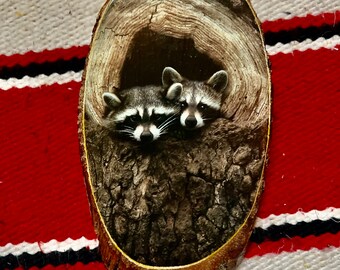 Precious 1970’s/80’s vintage Raccoon decoupage wooden wall hanging 8in L x 4in wide
