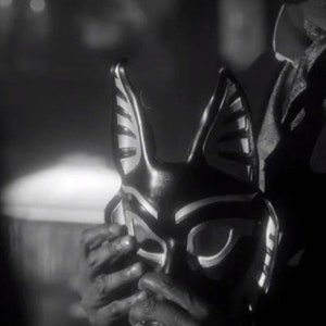 May include: A black and white mask with a cat-like design. The mask has large ears and a pointed nose. The eyes are outlined in white and the mask has a textured surface.