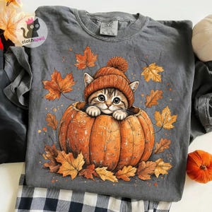 May include: A charcoal gray t-shirt featuring a graphic of a tabby cat wearing an orange knit beanie, sitting inside a large orange pumpkin surrounded by scattered orange and brown autumn maple leaves. The shirt has a crew neckline and short sleeves.