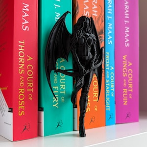 Feyre ACOTAR Bookshelf Insert, High Lady Fae Book Decor, Fantasy Romance Shelf