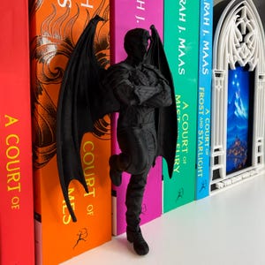 以下が含まれることがあります： カラフルな本の間にある、翼のある男性の姿をした黒いブックマーク。 腕を組み、片足を曲げている。 本には「A Court of Mist and Fury」などのタイトルが書かれている。