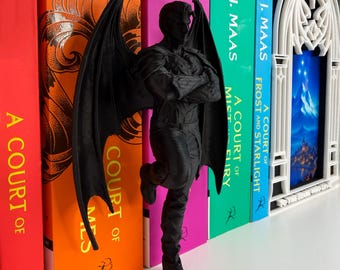 ACOTAR Bat Boy-boekenplankinzet, decor Fae Book