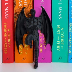 May include: A black figurine of a winged humanoid figure, leaning against a row of colorful books. The books have titles like "A Court of Thorns and Roses" and "A Court of Mist and Fury."