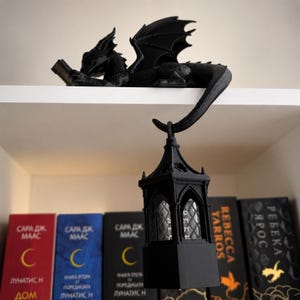 Close view of a detailed 3D printed dragon reading a book with its tail curled over the bookshelf edge.