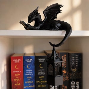 Black reading dragon shelf decor with detailed wings and a hanging lantern displayed above fantasy books.