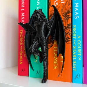 Inserto para estantería de Cassian de ACOTAR, decoración para rincón de lectura de Bat Boy, figura de la Corte Nocturna